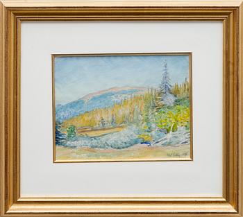 Axel Sjöberg, Solbelyst fjäll.