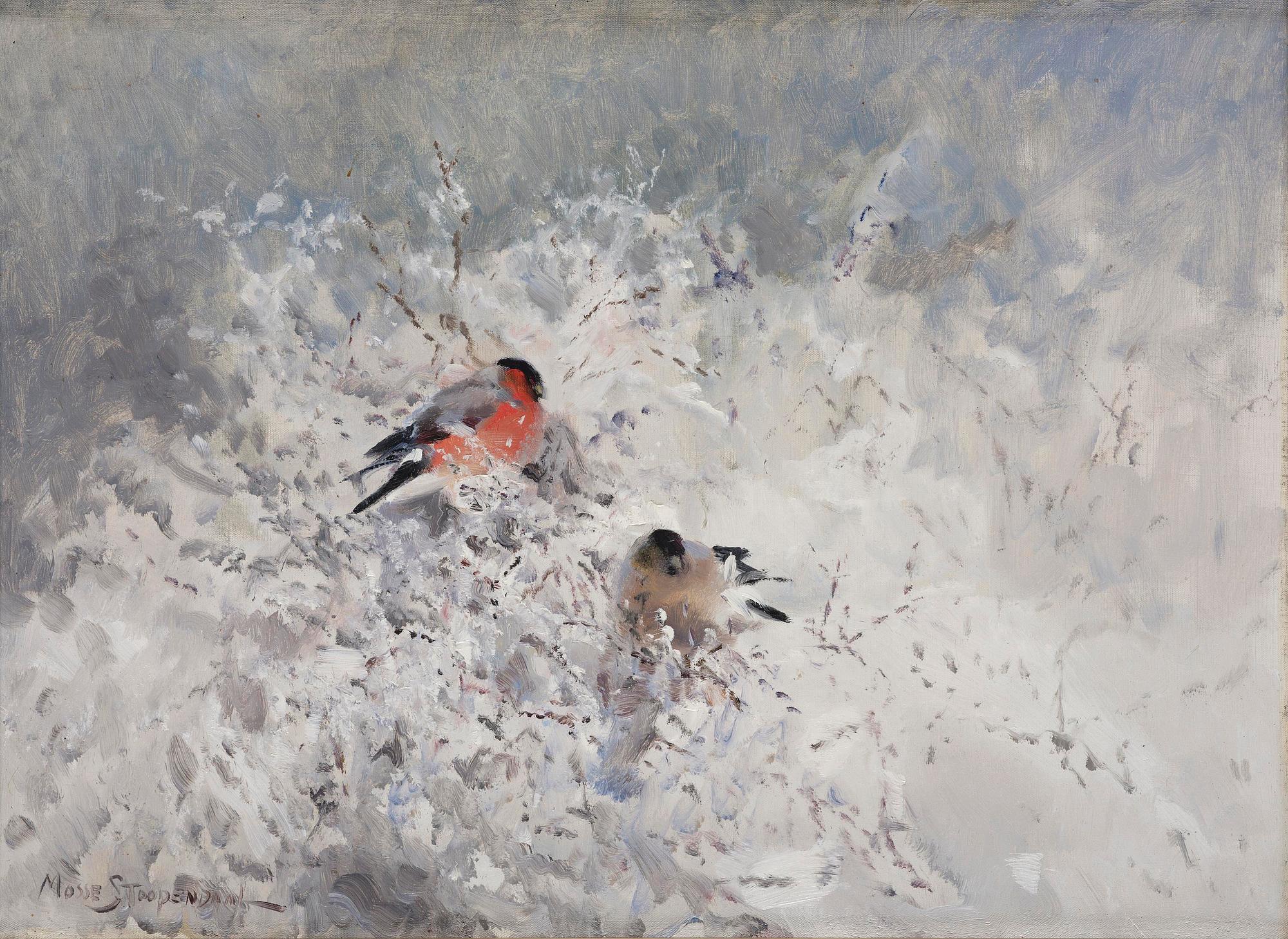 Mosse Stoopendaal, Bullfinches in a winter landscape.