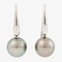 Örhängen 14K vitguld med odlade Tahitipärlor.