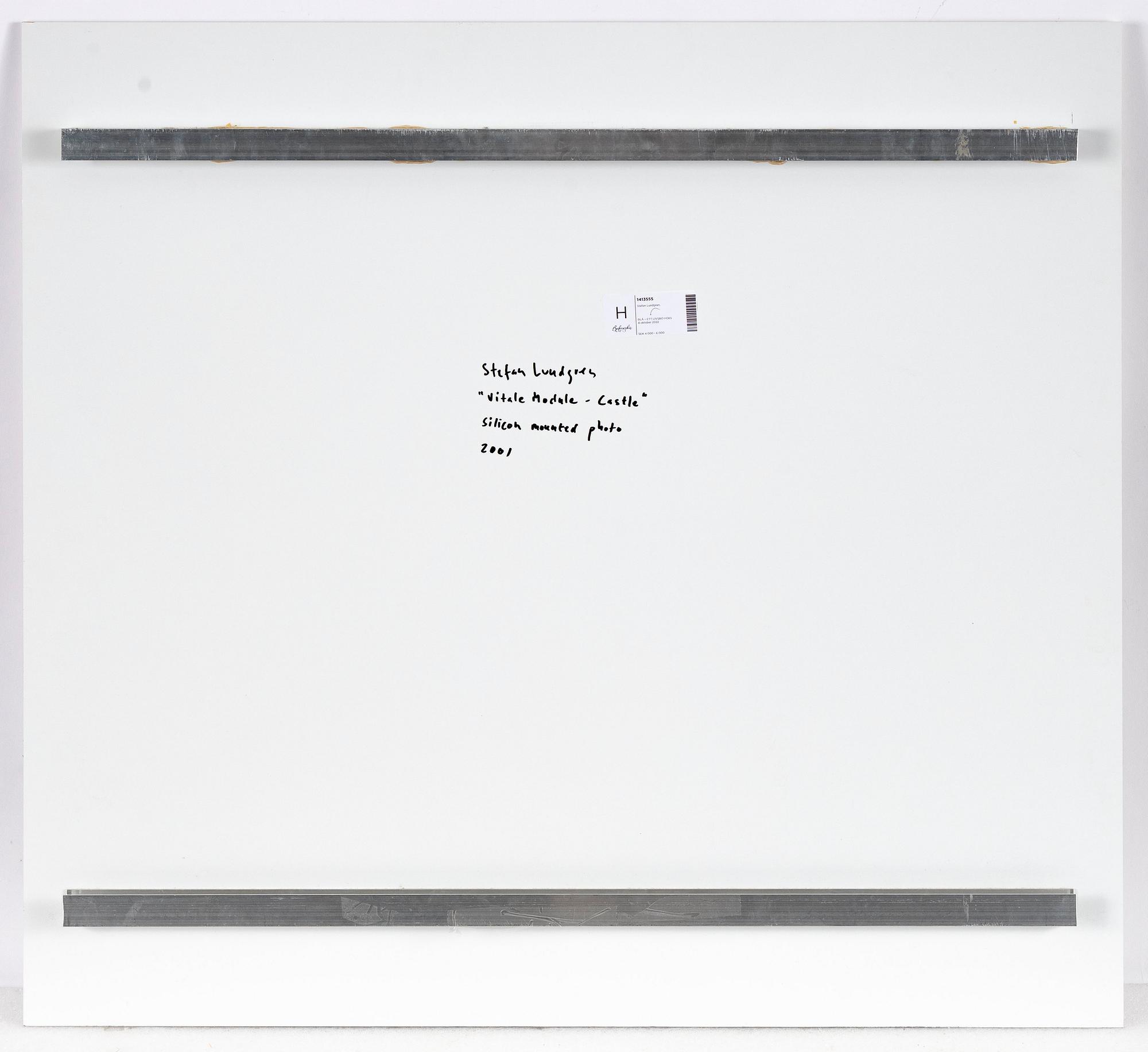 Stefan Lundgren, "Vitale Module-Castle", 2001.