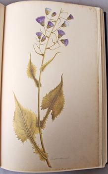 BÖCKER, 2 vol, Olof Rudbeck d y, Iter Lapponicum - Resan till Lappland, nr 1485/1999.