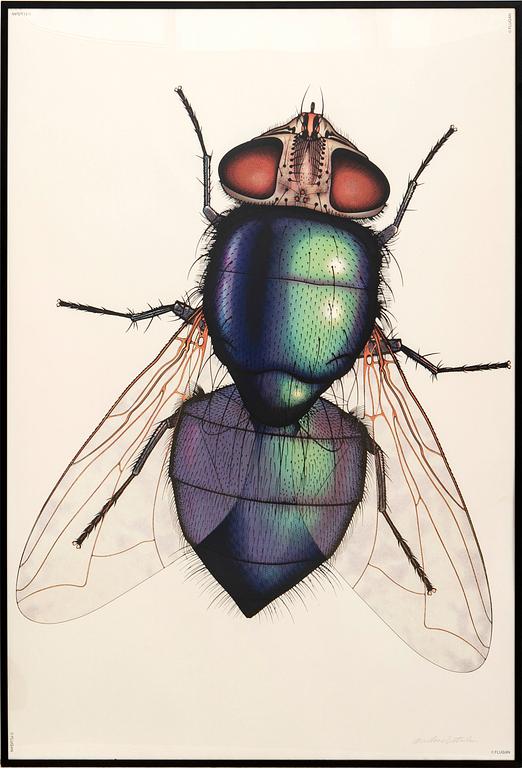 Anders Österlin, signed poster.