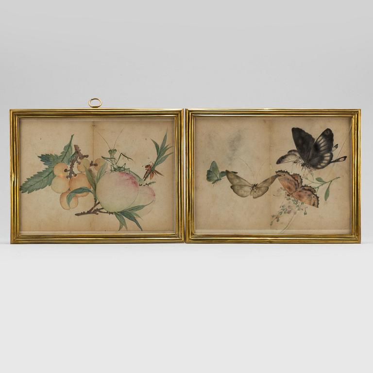 Two watercolors, Qing dynasty, 19th century.