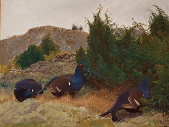 Bruno Liljefors, Black grouse in autumn landscape.