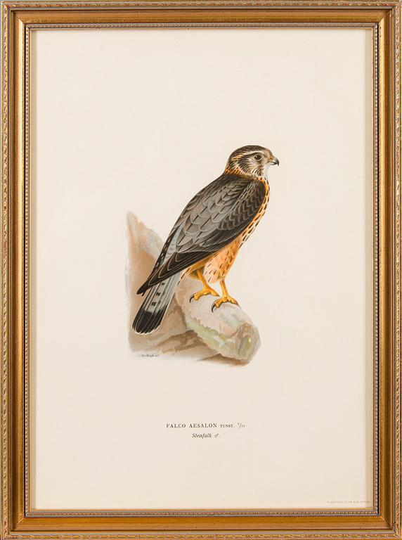 LITHOGRAPHS, 5 pcs, after Wilhelm von Wright and Bror Hallberg. A. Börtzell, Stockholm.