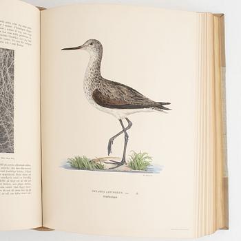 Bibliofilupplagan av von Wright: Svenska fåglar.