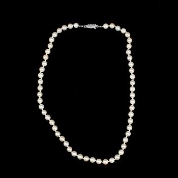 COLLIER, 3st, odlade saltvattenspärlor, två lås i silver.