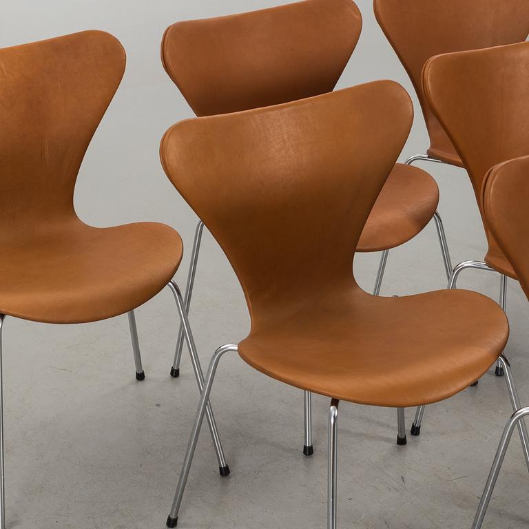 STOLAR 6 st, Arne Jacobsen, "Sjuan", Fritz Hansen, Danmark.