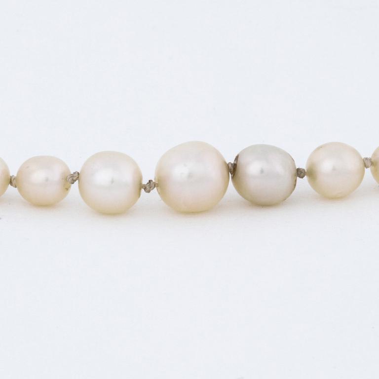 A necklace probably with oriental pearls.