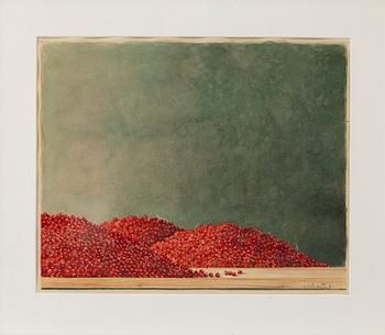 Philip von Schantz, Lingon.