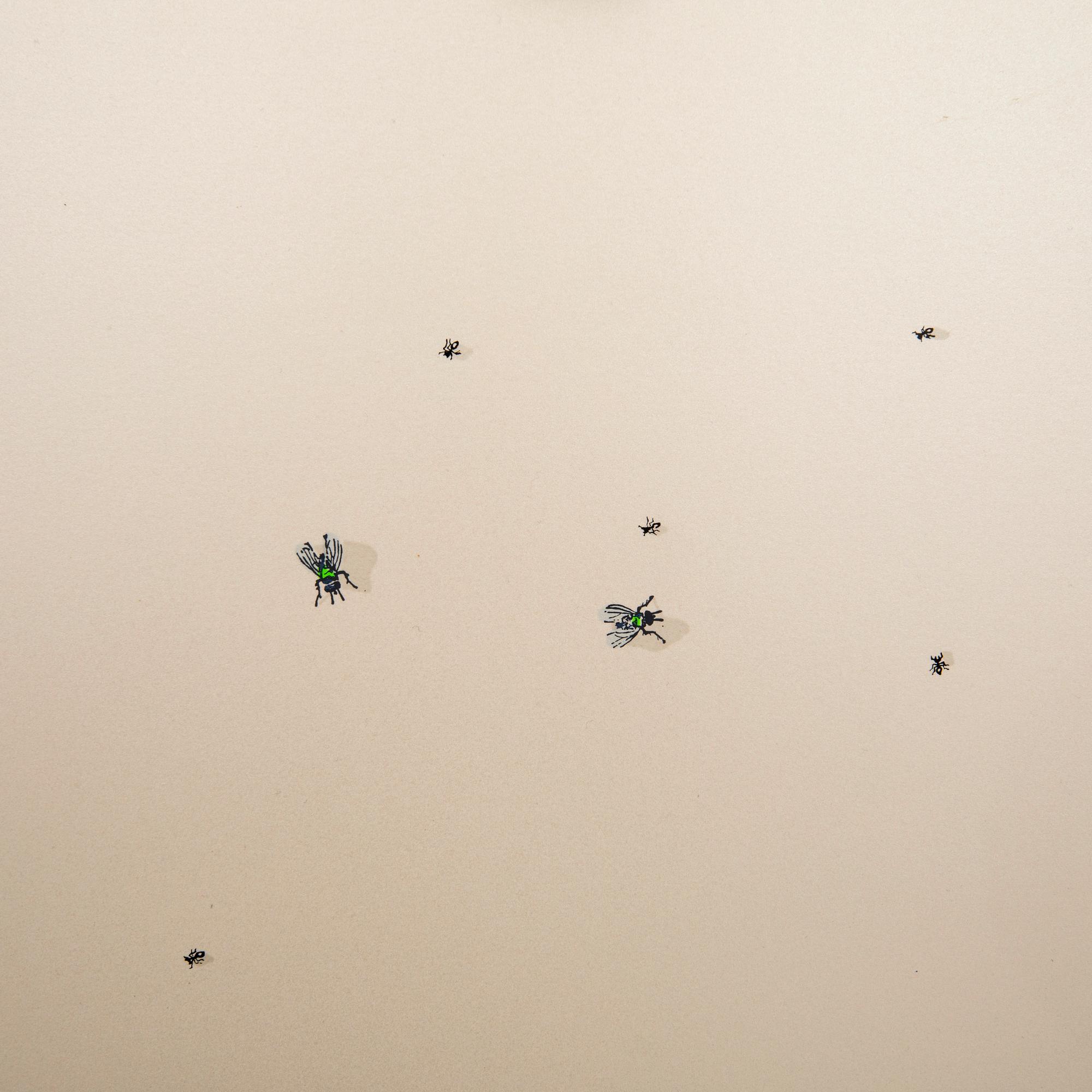 Ed Ruscha, "Pearl Dust Combination" from the series "Insects".