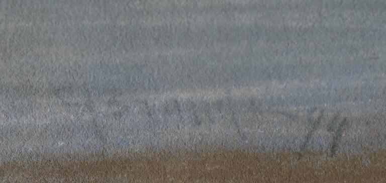 CARL BRANDT, 2 st, pasteller, signerade och daterade 94.