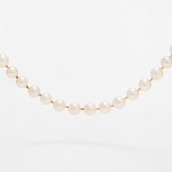 Helminauha, viljeltyjä helmiä.