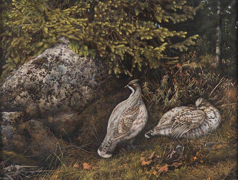 Teppo Terä, Bird pair in Forest.