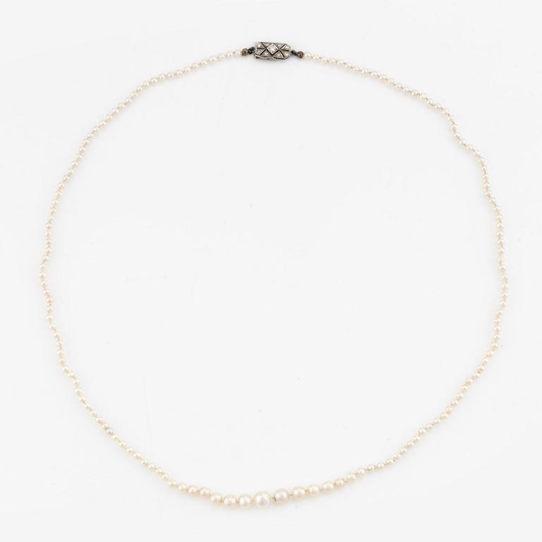 Necklace, with graduated pearls and an 18K white gold clasp with diamonds.