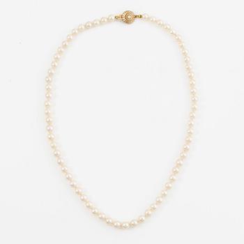 Pärlcollier, med odlade pärlor, lås 18K guld.