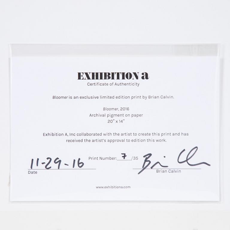 Brian Calvin, "Bloomer".