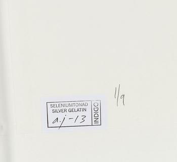 Lennart Nilsson,  "Isbjörnsjakt vid Hvitøya (Vitön), Svalbard, Norge 1947".