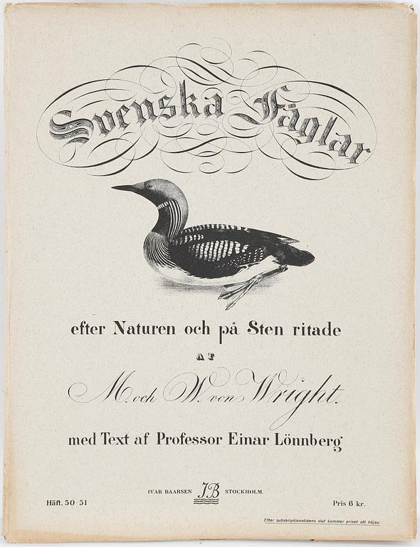LITOGRAFIER, 12 stycken, ur "Svenska fåglar", Magnus och Wilhelm von Wright, A Börtzells, 1900-talets första hälft.