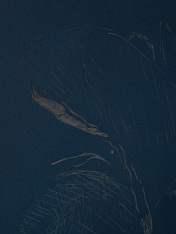 Idun Baltzersen, "Looking Down".