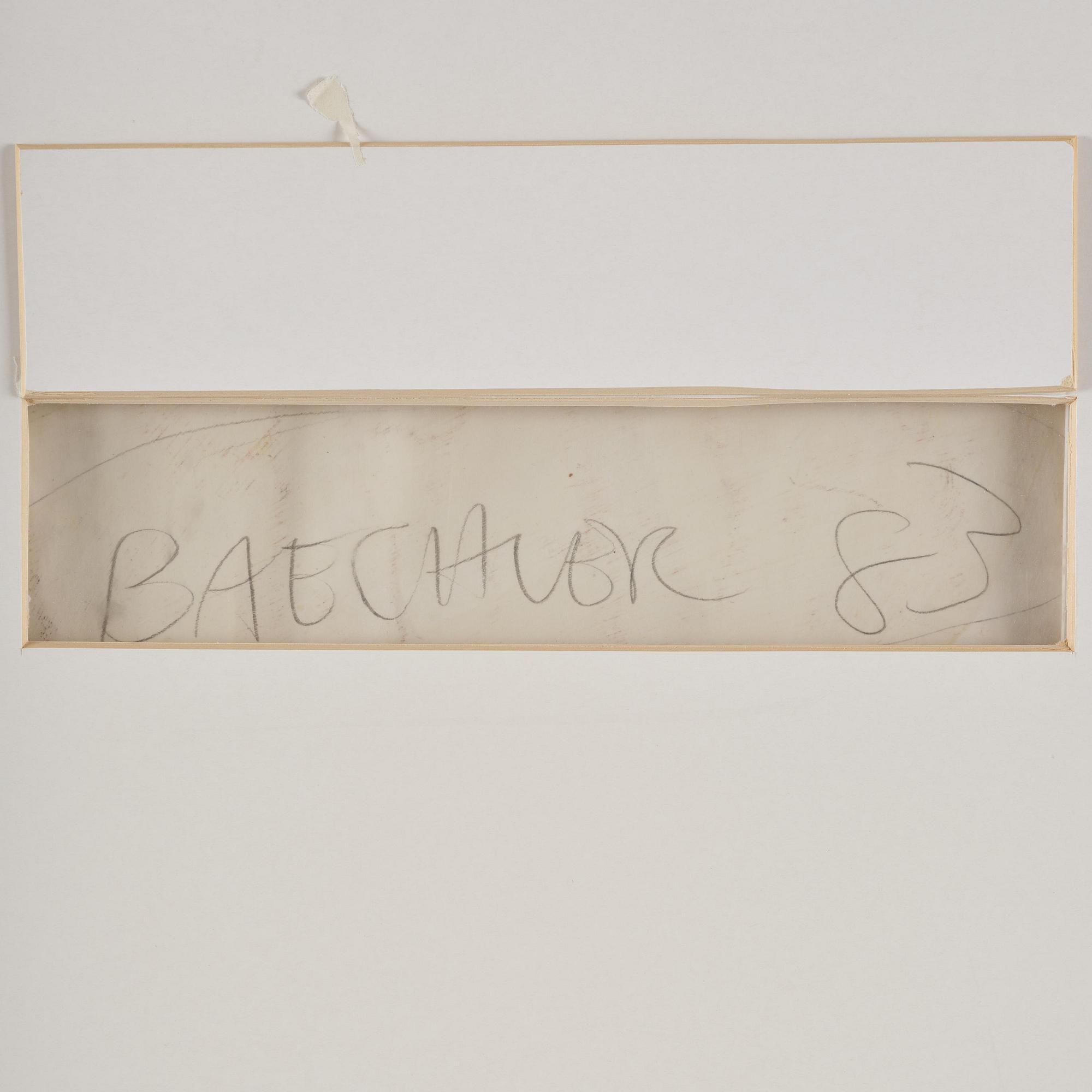 Donald Baechler, "Bather".