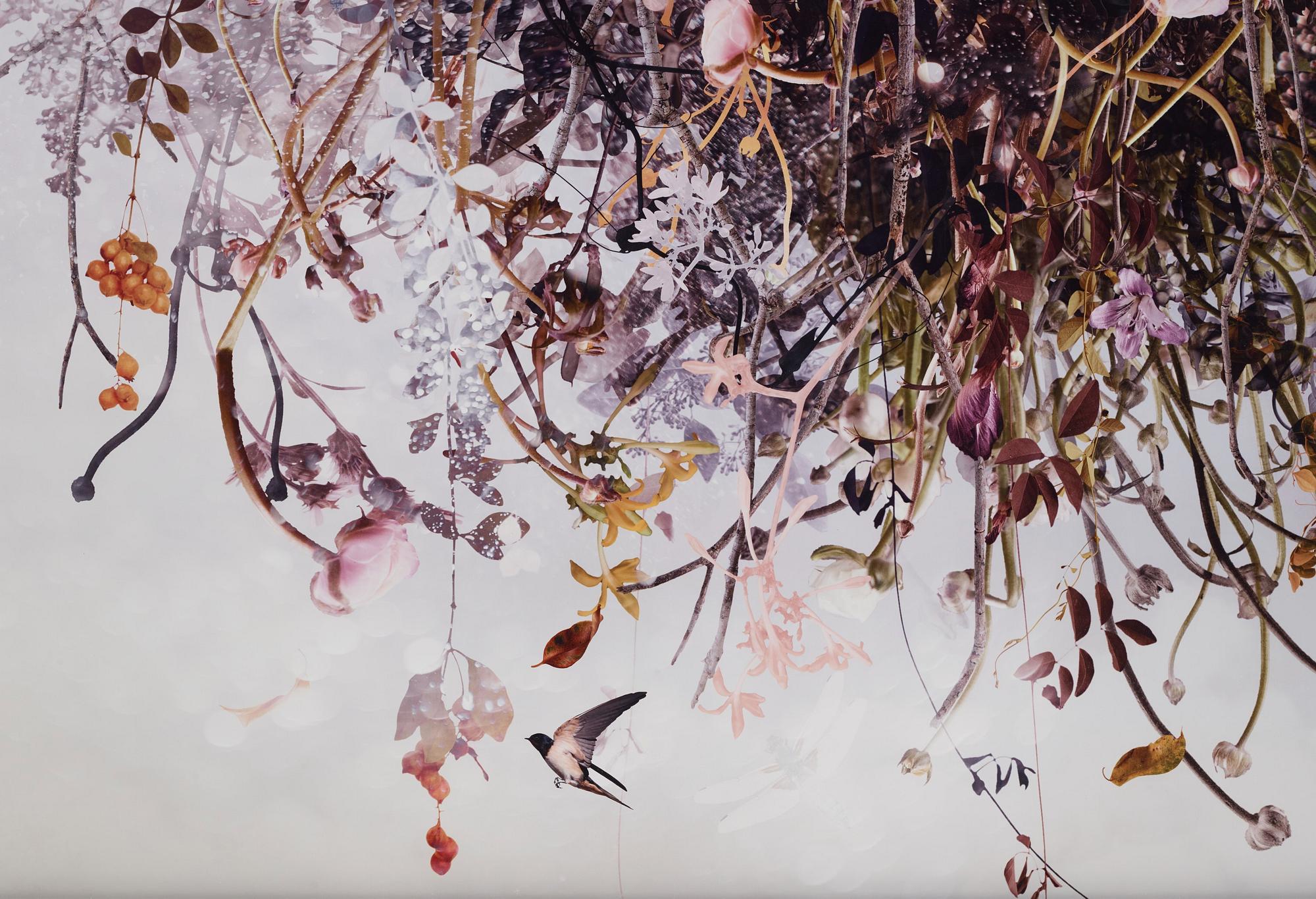 Ysabel LeMay, "Spiritus", 2011.