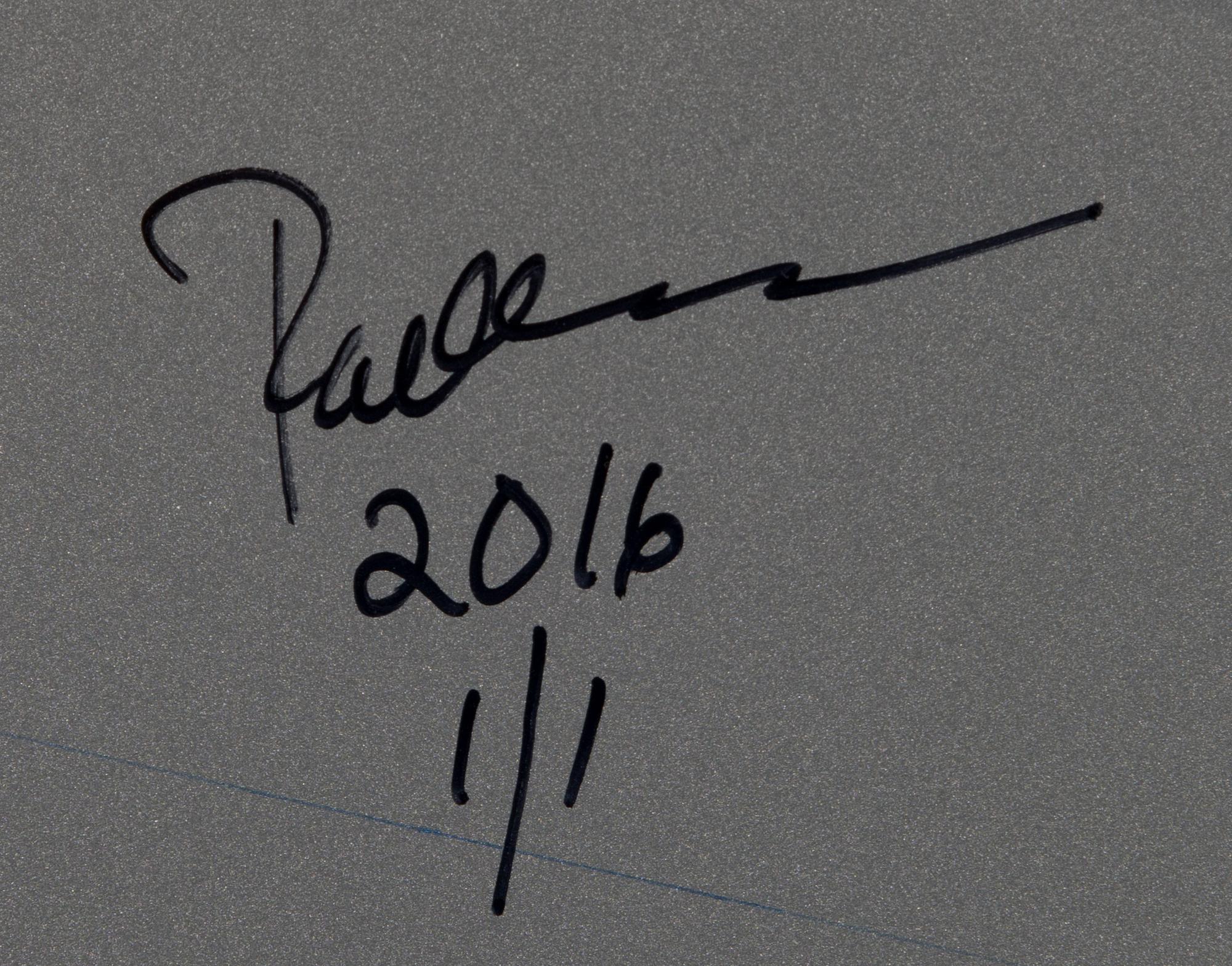 PAOLA SUHONEN, färgtryck på glas, a tergo signerad och daterad 2016, numrerad 1/1.
