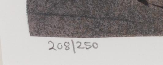 Madeleine Pyk, "Tusen dagar och en dröm", mapp med fyra färglitografier samt bok.