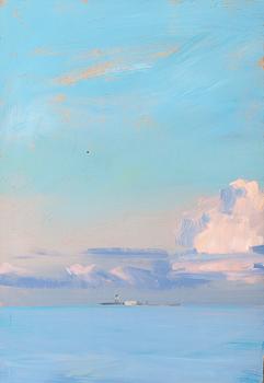 1. Ilkka Lammi, PINK CLOUDS.