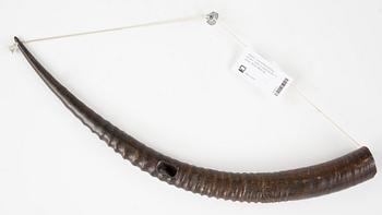 VANDRINGSSTAV, SPJUT, SKÖLD samt HORN, 5 delar, 1800/1900-tal.