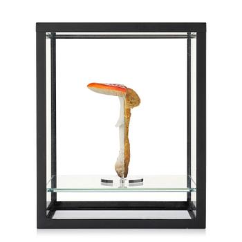344. Carsten Höller, "Double Mushroom Vitrine (Once)".