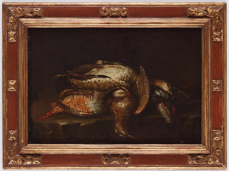 Spanish school, 17/18th Century, Still life with birds in nest / dead birds.