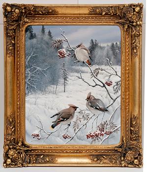 Teppo Terä, WINTER VIEW WITH WAXWINGS.