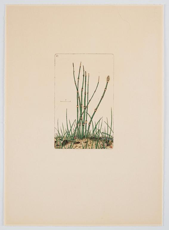 Sten Eklund, "Kullahusets hemlighet" (Kullahussviten).