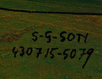 SVEN-GÖRAN SVENSSON G:SON, olja på duk, signerad.