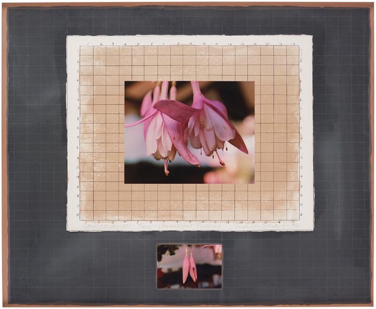 Michelle Stuart, "Correspondences: Time Connecticut Fuchsia".