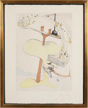 SALVADOR DALÍ, torrnål, signerad, numrerad  3/300.