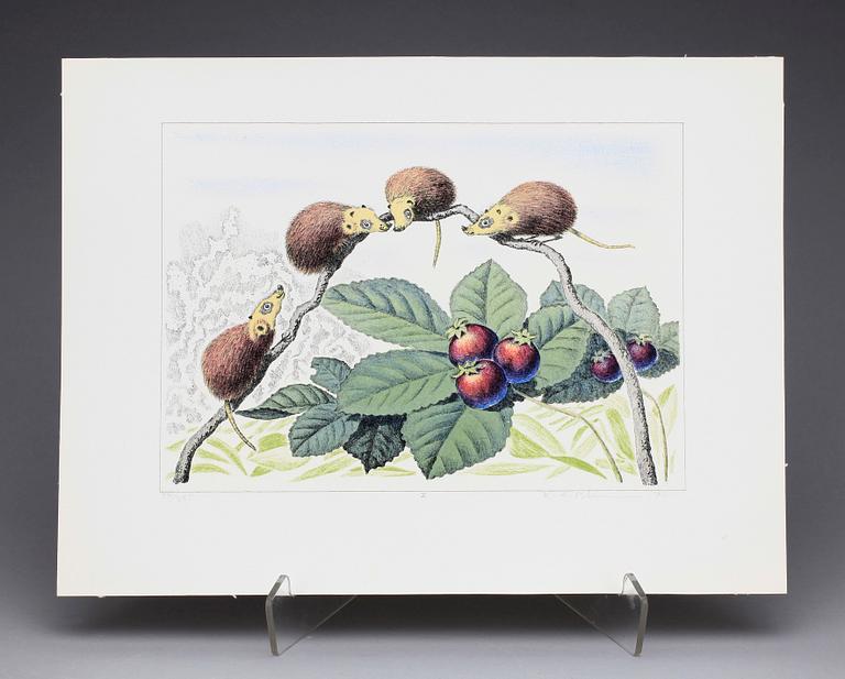 KARL AXEL PEHRSON, mapp med 10 färglitografier, "Vyer från Nirak", sign o numr 37/285. 1973.