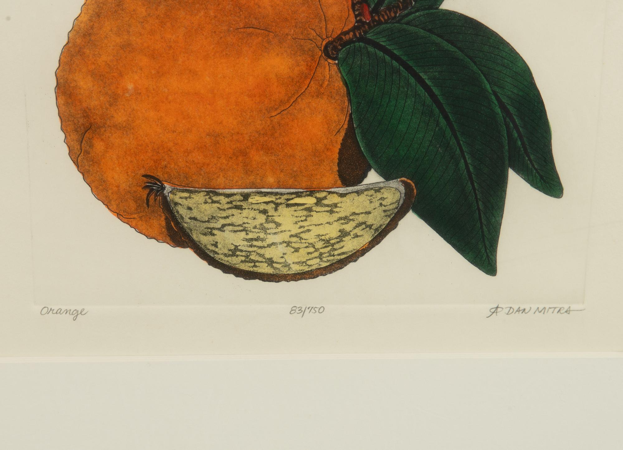 Dan Mitra, a suite of six etchings, framed together.