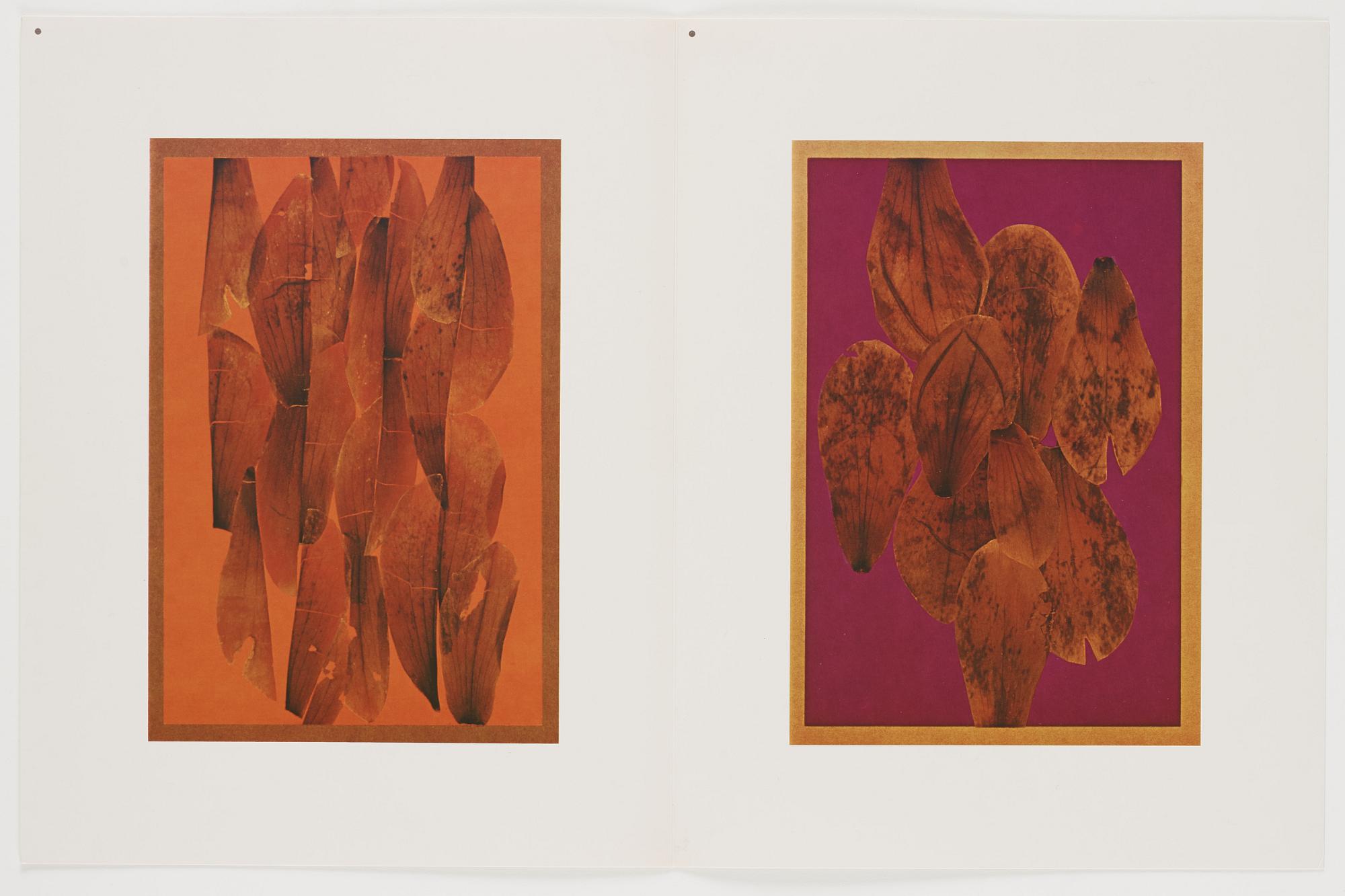 Josef Albers, "Interaction of color".