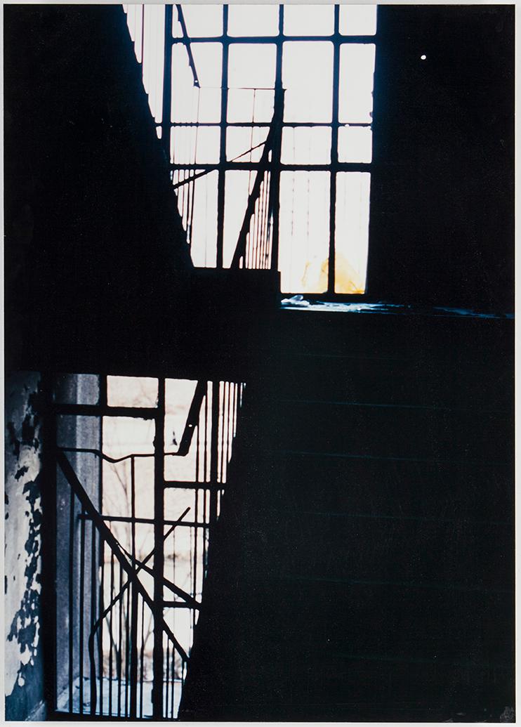 ONERVA UTRIAINEN, C-print monterad på aluminium, a tergo signerad, numrerad 2/5 och daterad -02.