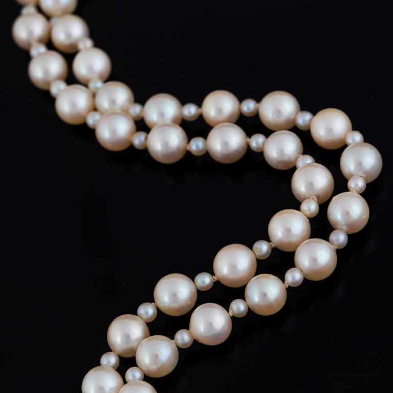 Cultured pearl necklace.