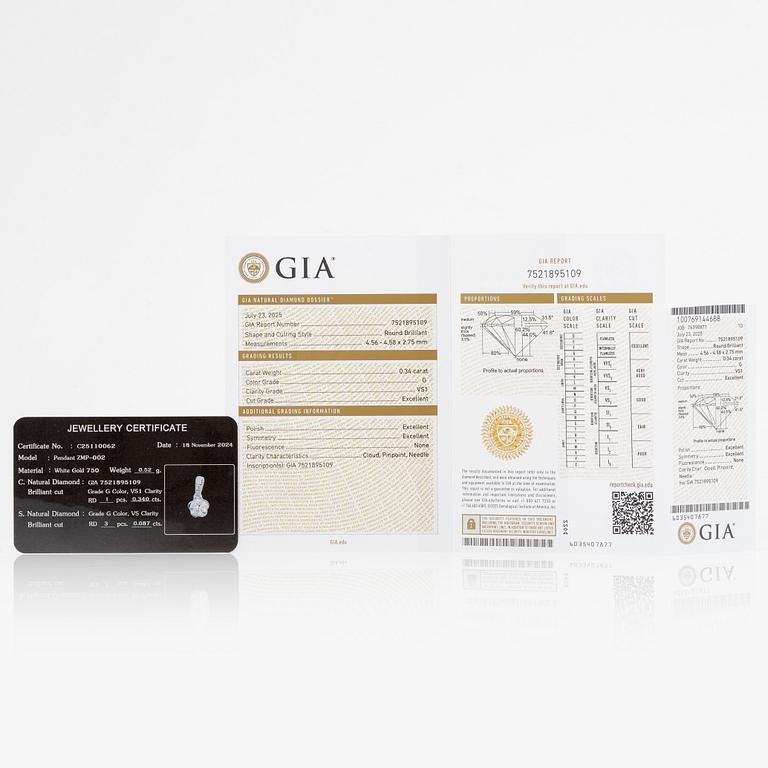 Pendant in 18K white gold with a brilliant-cut diamond accompanied by a GIA dossier.