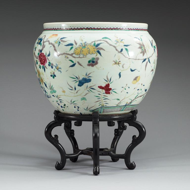 A large famille rose fish basin, late Qing dynasty.