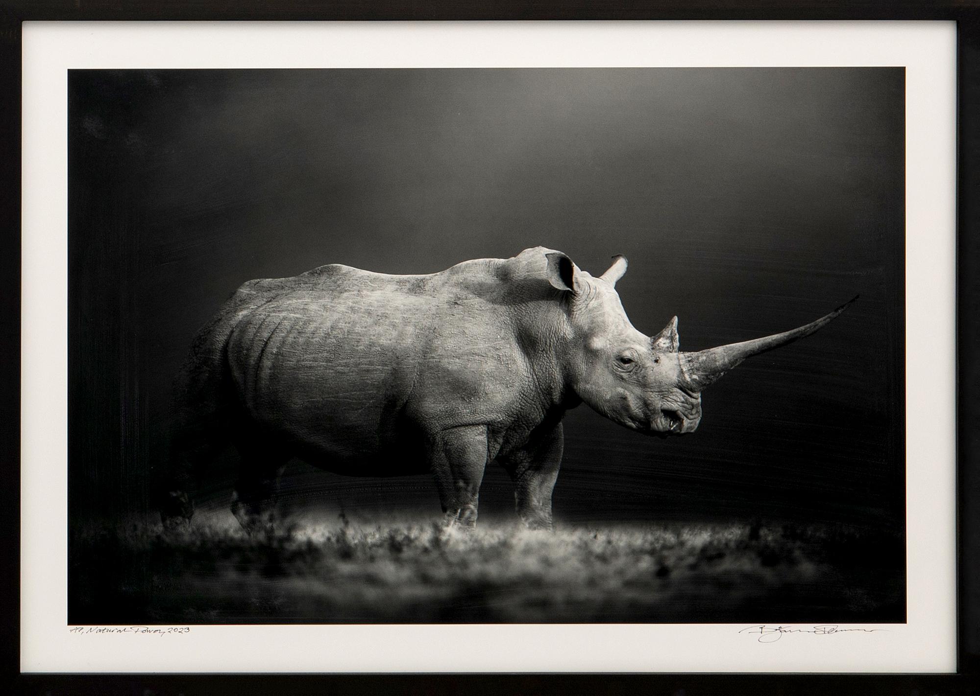 Björn Persson, "Natural Power", 2023.