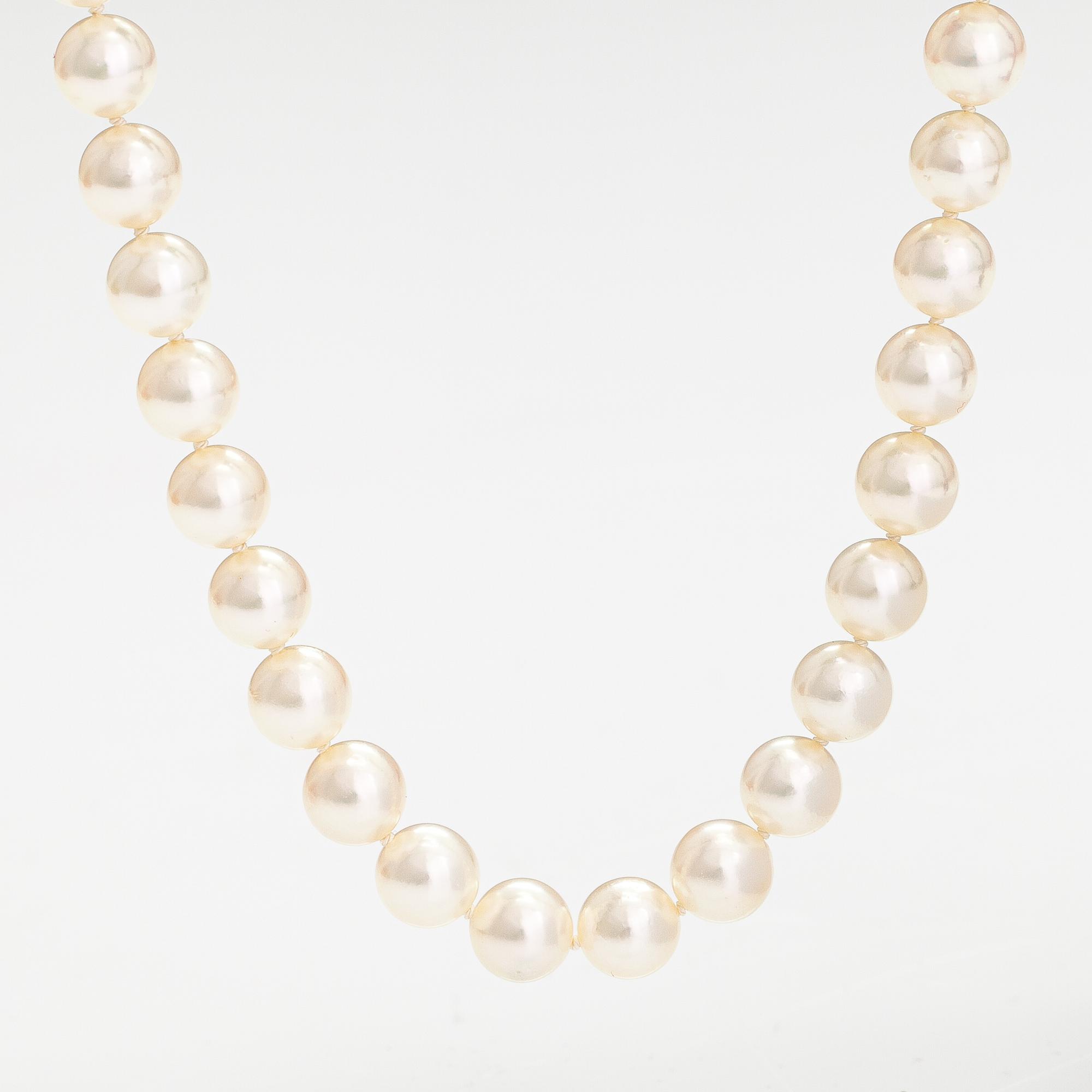 A pearl collier with ajoya pearls and a 14K gold clasp. Torbjörn Tillander, Helsinki 2015.