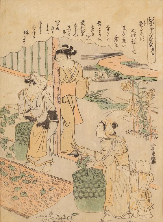 KITAGAWA UTAMARO, samt KATSUKAWA SHUNSHO, after, two color woodblock prints. Japan, late 19th/early 20th century.