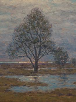 Per Ekström, Landscape in Haze.