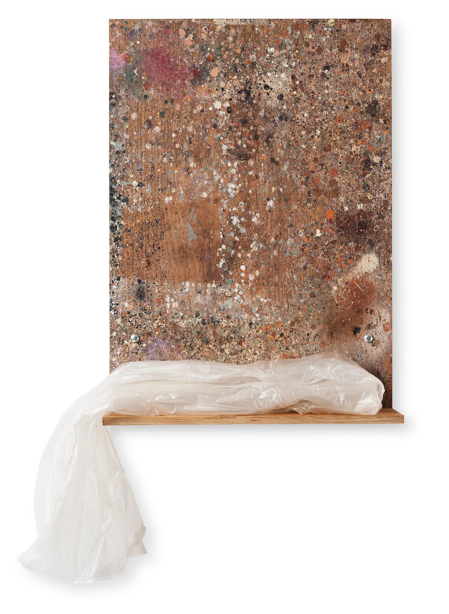 Fredrik Vaerslev, "Shelf Paintings (Dew Problems) #11".