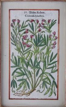 HANDKOLORERADE GRAVYRER, 2st, och KOPPARSTICK, 17/1800-tal.